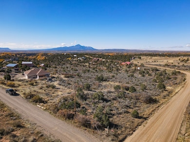 17467 Road 27 7, Dolores, CO 81323 - photo 3