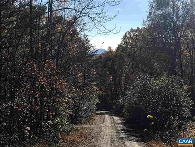 0 Old Mountain Rd unit 18 569293, Stanardsville, VA 22973 - photo 5