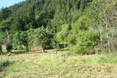 25 Jim Creek Rd, Arlington, WA 98233 - photo 4