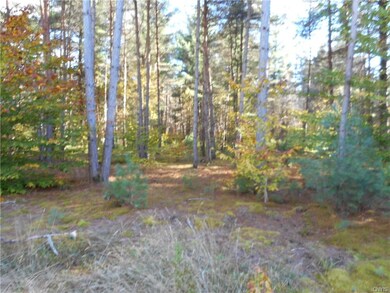 Lot / Land