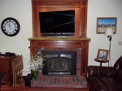 Propane Fireplace