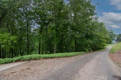 000 Plateau Ln, Kimberling City, MO 65686 - photo 3