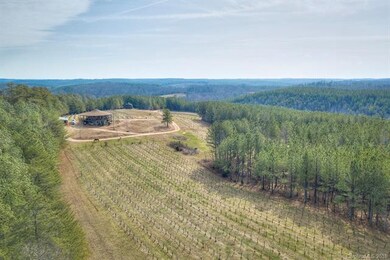 6 acres of established vines provide the grapes fo