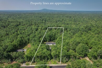 275 Morgan Bay Rd, Surry, ME 04684 - photo 6