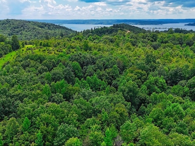 0 Shores Trail unit RTC3000429, Stewart, TN 37175 - photo 4