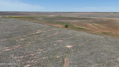 dji_fly_20250408_145956_0355_17441415722
