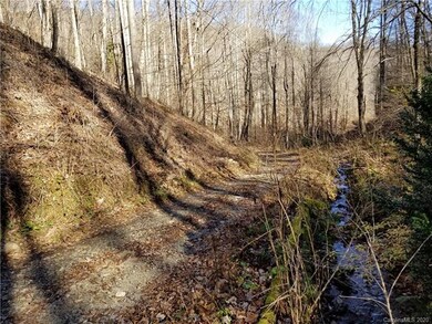 000 Roaring Fork Rd, Burnsville, NC 28714 - photo 6