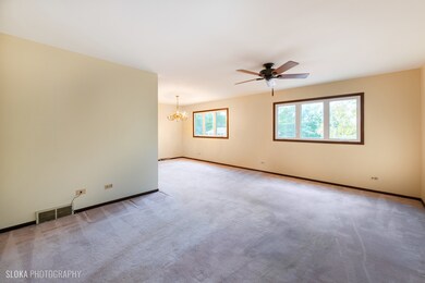 326 Council Trail, Lake In the Hills, IL 60156 - photo 7