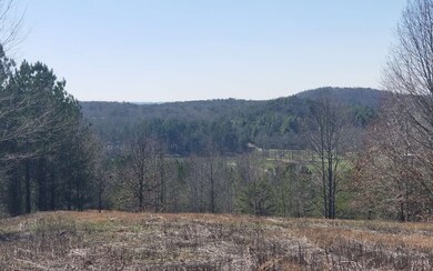 0 Dales Spur unit 295493, Ellijay, GA 30536 - photo 3