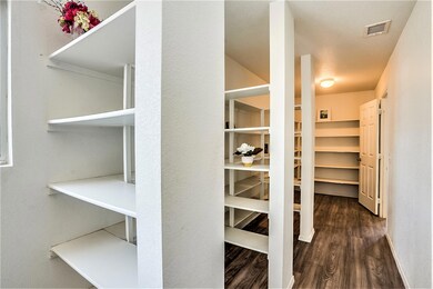 Walk-Through Pantry