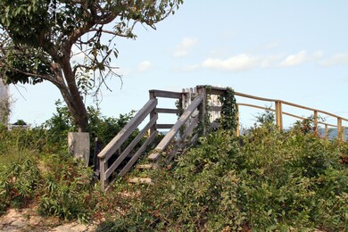 IMG_6978