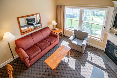 Jackson Gore Village, Ludlow, VT 05149 - photo 7