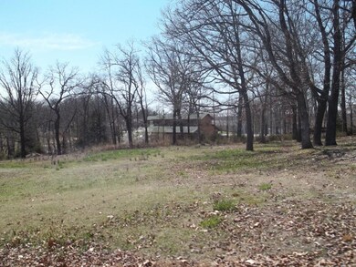 Lot 4 Breezy Point Ln, Ruth B Rural Township, MO 65686 - photo 6