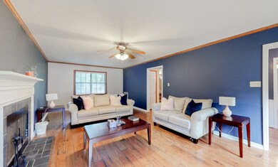 Photo 4