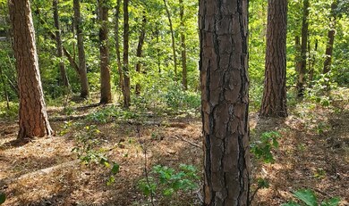 Lot 5 Greta Ln, Bella Vista, AR 72715 - photo 3