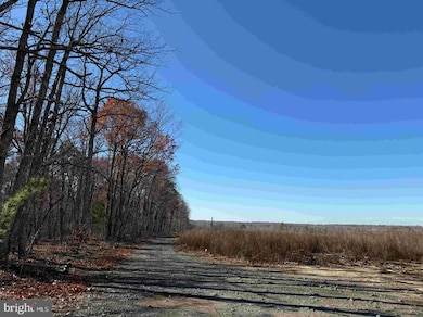 0 Winnsville Drive (Tract: Tanager Et2 2021) unit VAFN2000556, Bremo Bluff, VA 23022 - photo 6