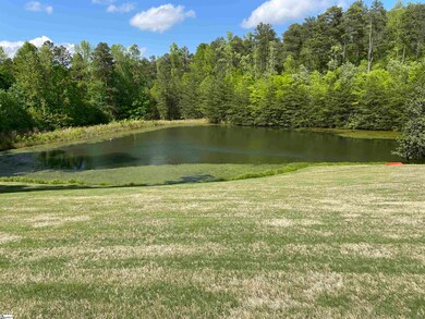 10449 Old White Horse Rd, Travelers Rest, SC 29690 - photo 3