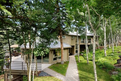 123 Mountain Laurel Dr, Aspen, CO 81611 - photo 3