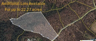 Lot 276, Aerial, acre