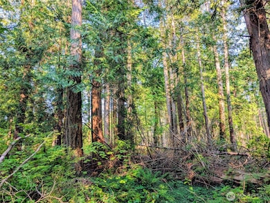 2 Mill Rd, Point Roberts, WA 98281 - photo 5