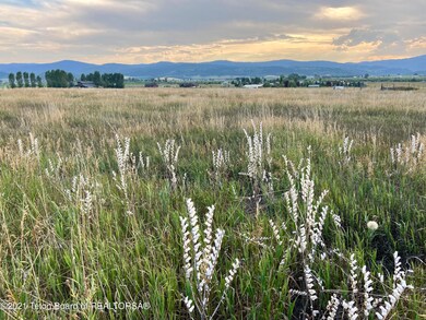 IMG-2826