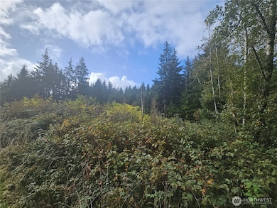 5635 Highway 101, South Bend, WA 98586 - photo 7