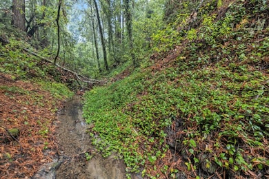 0 Cathedral Dr, Aptos, CA 95003 - photo 5