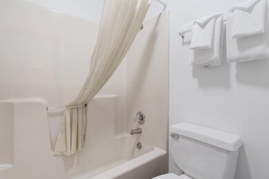 982 Indian Point Rd unit 214, Branson, MO 65616 - photo 6