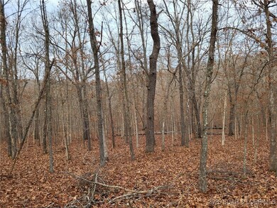 0 Dunn Dr unit Lot 1331, Edwards, MO 65326 - photo 7