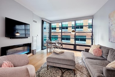 Millenium Place unit 505, Boston, MA 02111 - photo 3