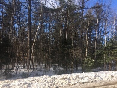 00 Forbes Dr, North Conway, NH 03860 - photo 4