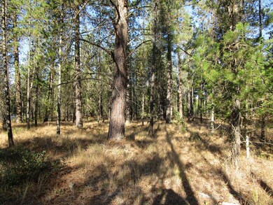 IMG_1304-001