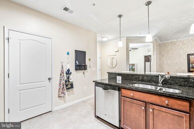 24636 Woolly Mammoth Terrace unit E-203, Aldie, VA 20105 - photo 4