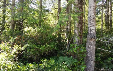 0 Thomas Rd unit 955007, Grapeview, WA 98546 - photo 4