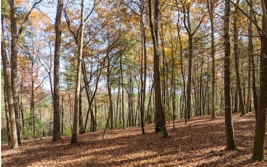 2 TR Old Anderson Creek, Ellijay, GA 30536 - photo 7