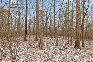 0 Twilight Trail, Dunlap, TN 37327 - photo 4