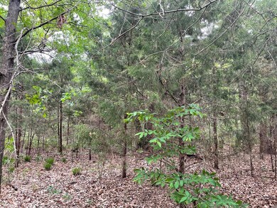 Lot 100 Sundance, Corsicana, TX 75109 - photo 6