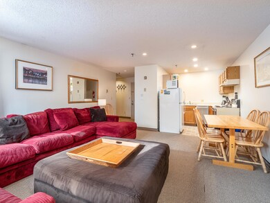 North Peak 2 203-3