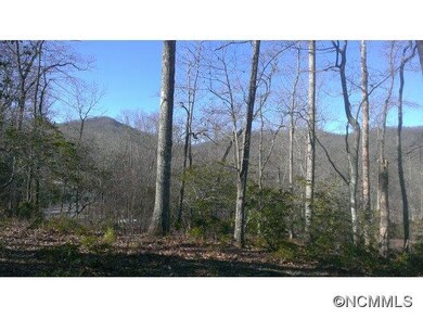 West view back to Pisgah NF