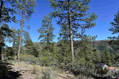 733 Red Canyon Trail, Durango, CO 81301 - photo 5