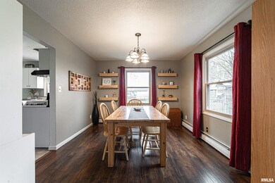 216 Rhoads Ave, Lincoln, IL 62656 - photo 7