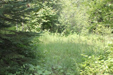 Some grassy area