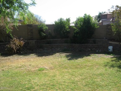 back yard