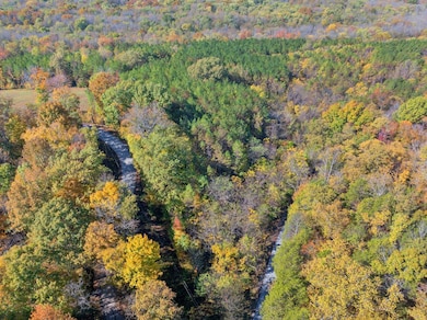 Bird's eye view of a forest