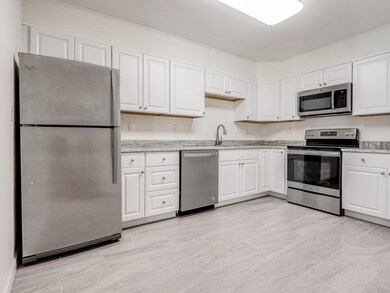 Hammond Park Condominiums unit 302, Chestnut Hill, MA 02467 - photo 6