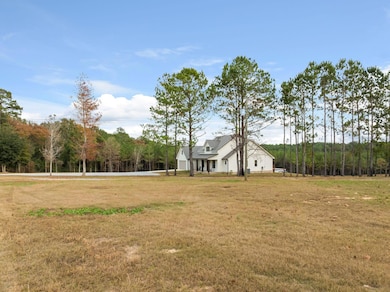 3830 Rocky Branch Rd, Sumrall, MS 39482 - photo 5