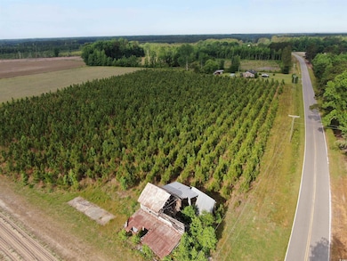 Aerial view of a forest