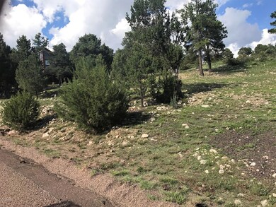 Mixed Vegetation