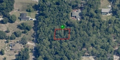 1012 & 1030 E Mckinley St, Hernando, FL 34442 - photo 6