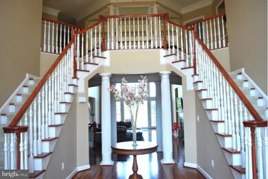 22039 Auction Barn Dr, Ashburn, VA 20148 - photo 7